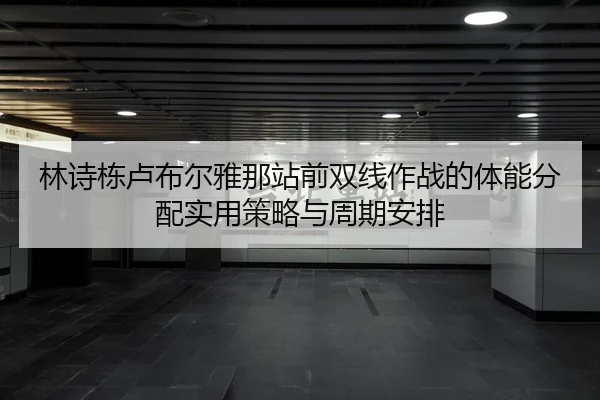 lin-shi-dong-lu-bu-er-ya-na-zhan-qian-shuang-xian-zuo-zhan-de-ti-neng-fen-pei-shi-yong-ce-lve-yu-zhou-qi-an-pai-1-528.jpg